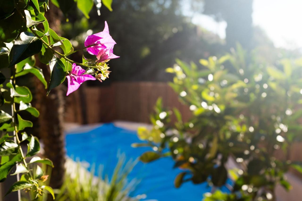 Villa Fiore Torbole Sul Garda Εξωτερικό φωτογραφία