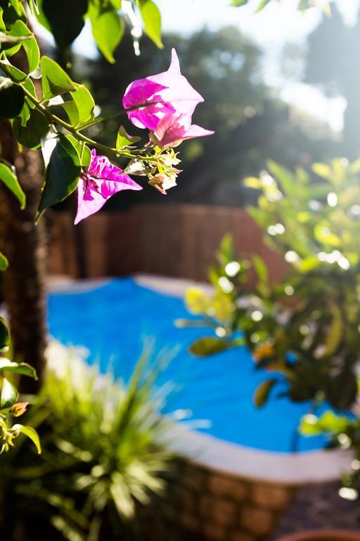 Villa Fiore Torbole Sul Garda Εξωτερικό φωτογραφία